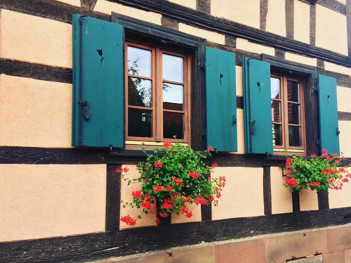 Chambres D'Hotes S'Burehiesel Schillersdorf Экстерьер фото